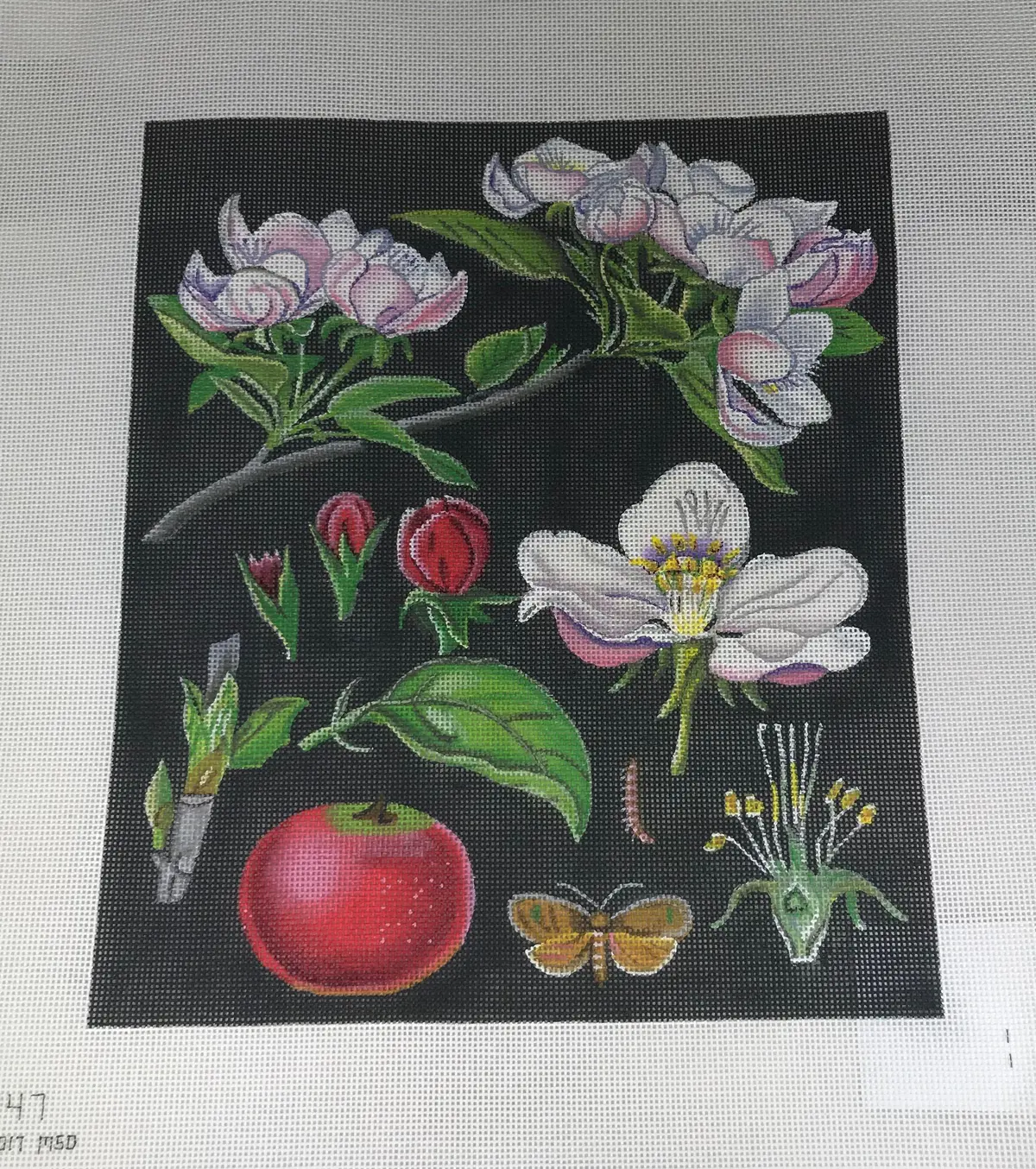 Melissa Shirley 2047 Vintage Apple Blossom 1