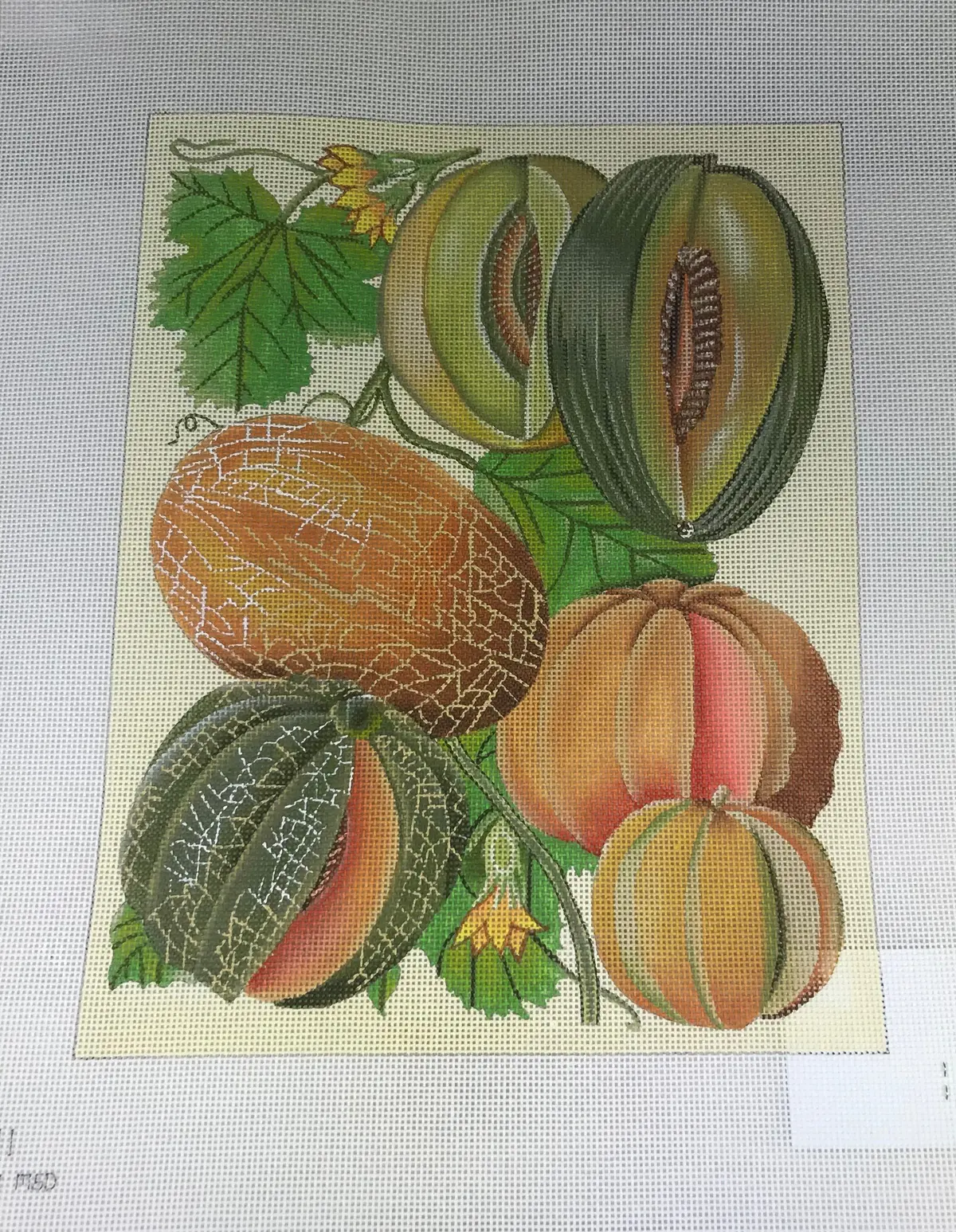 * Melissa Shirley 2071 Melons 1