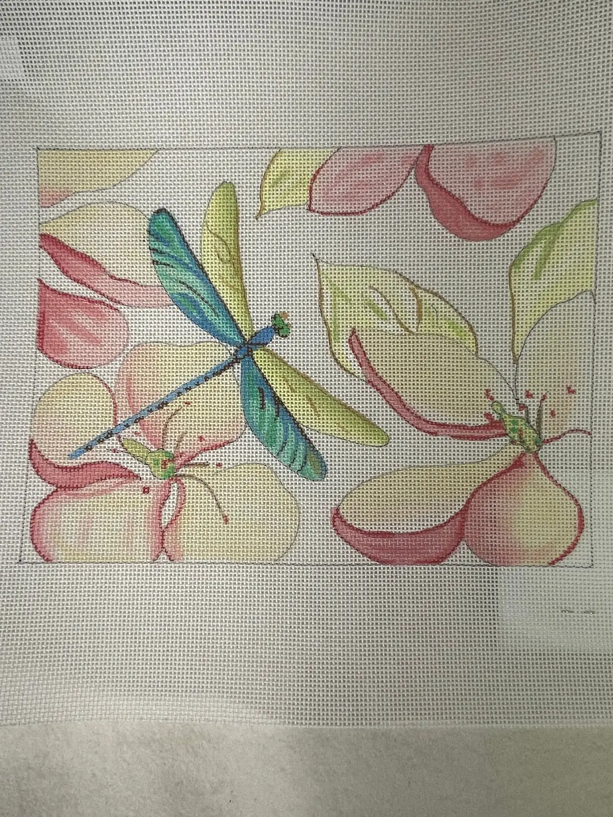 * Colors Of Praise Ff216 Dragonflies/ Magnolias 1