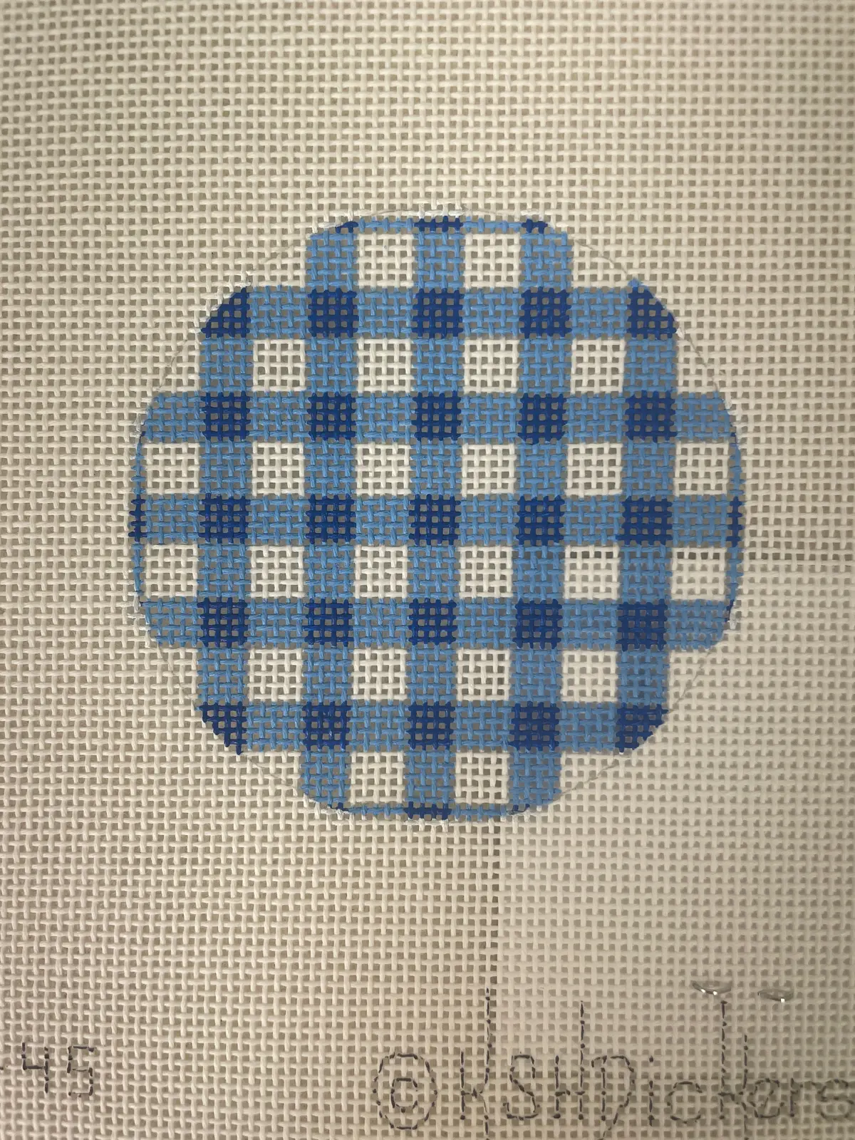 * Kate Dickerson Alb45 Bright Disk Letter- Blue And White Gingham 1