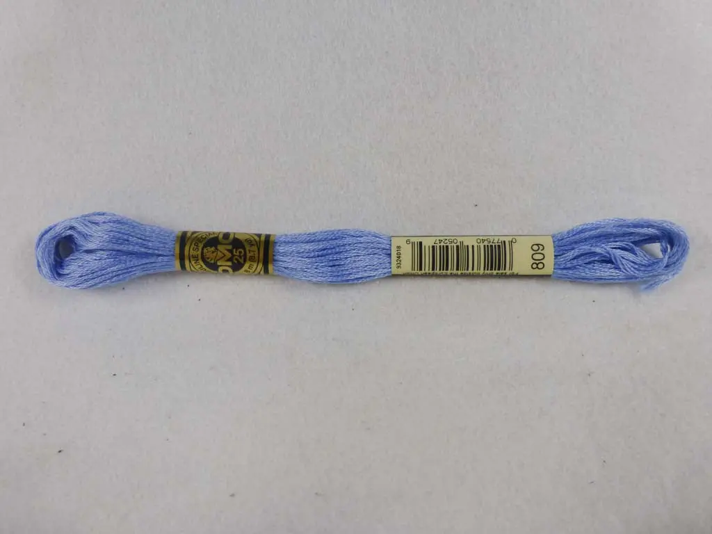 Dmc Floss 809 Delft Blue 1