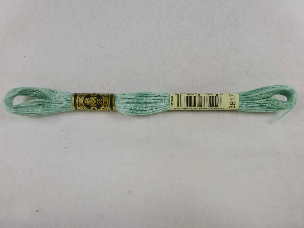 Dmc Floss 3817 Light Celadon Green 1