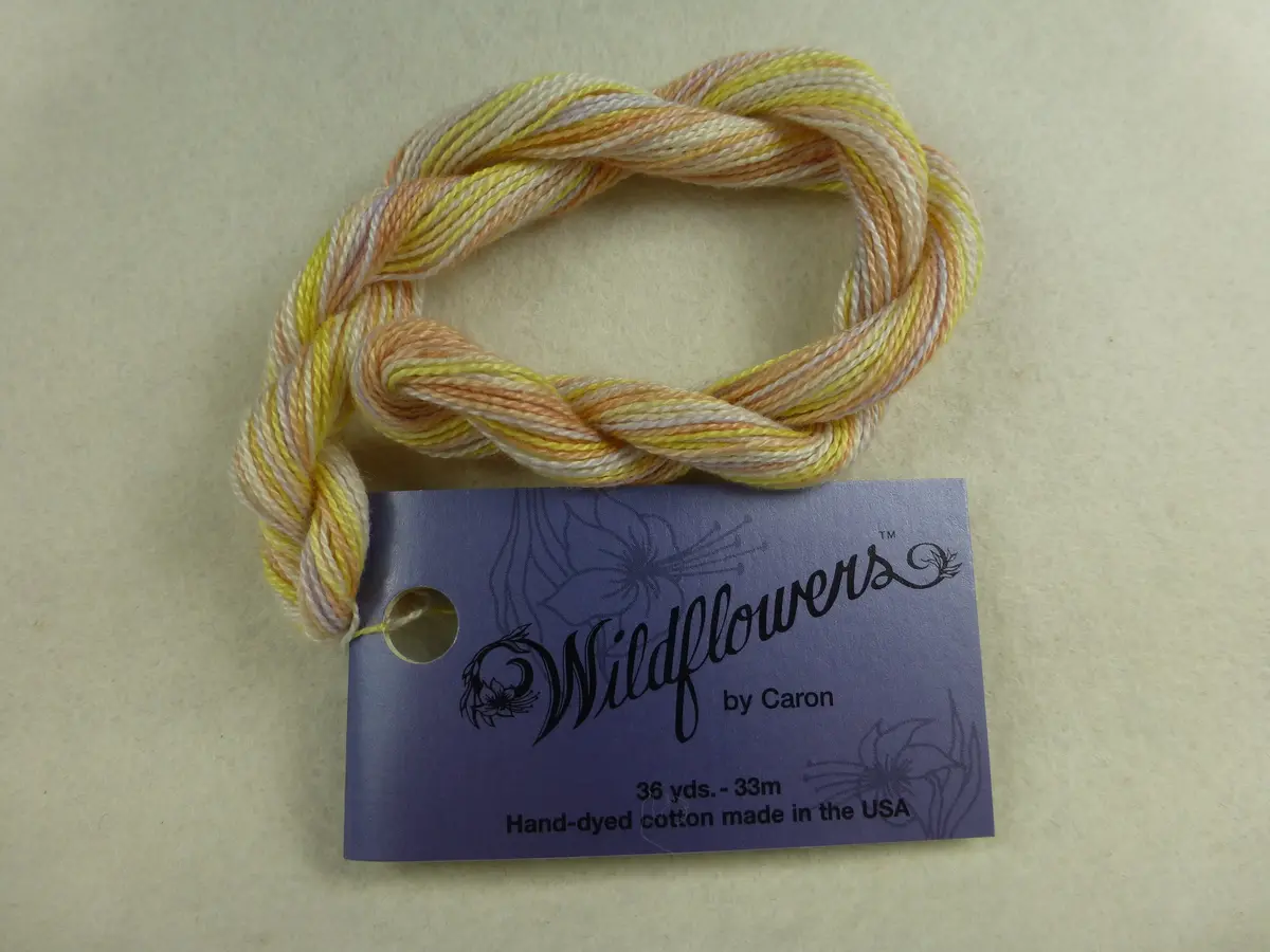 Wildflowers 213 Sahara 1