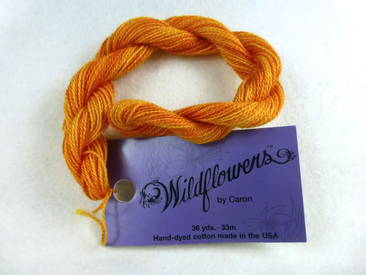 Wildflowers 280 Calabasa 1