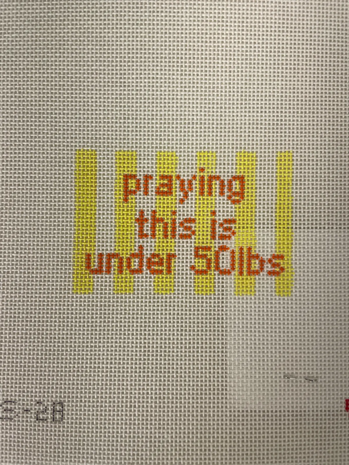 * What's The Stitch Needlepoint / Praying This Is Under 50Lbs Luggage Tag 1