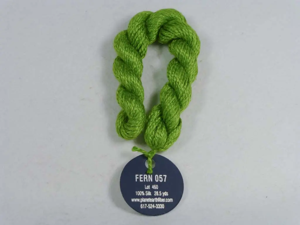 Planet Earth 057 Fern 1