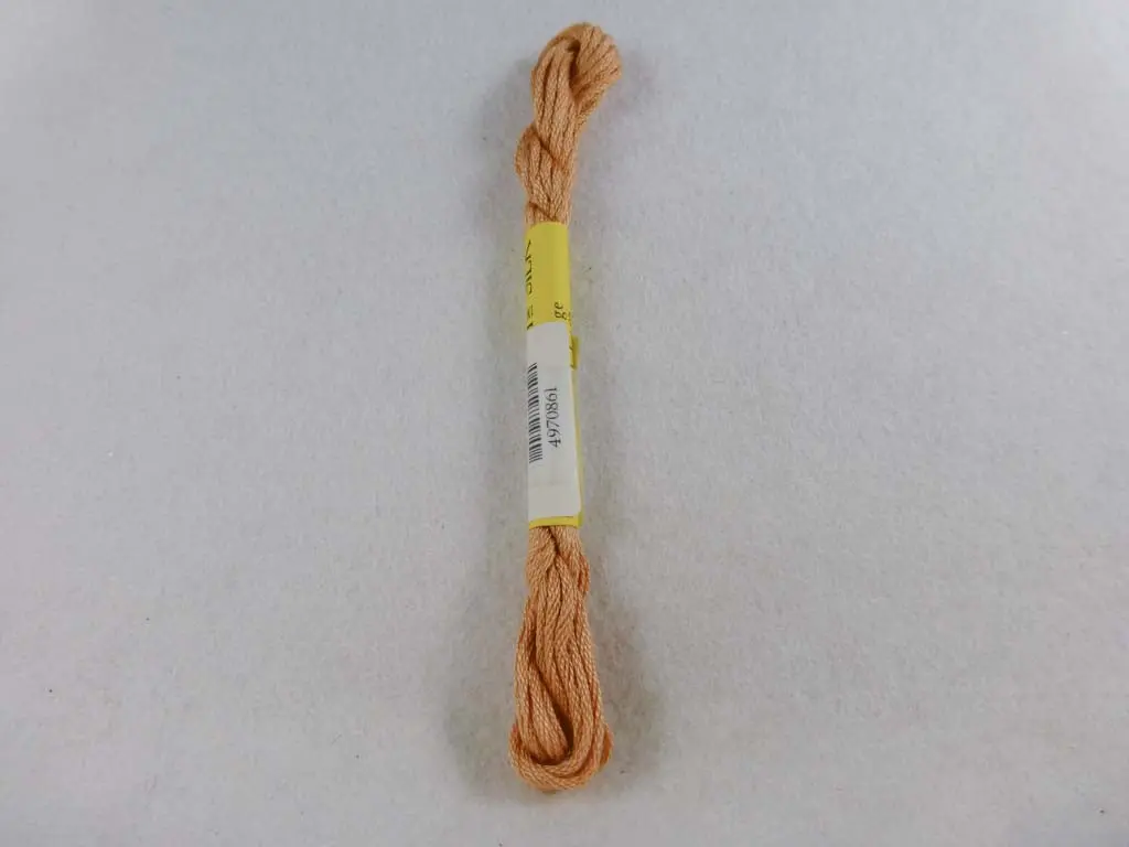 Needlepoint Inc 861 Pumpkin 1