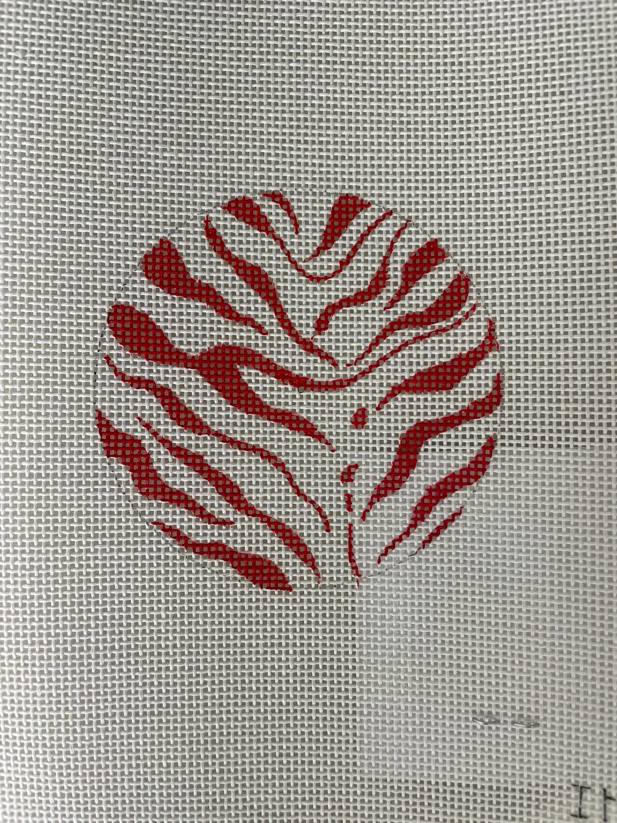 Colors Of Praise In100 Zebra Round 1