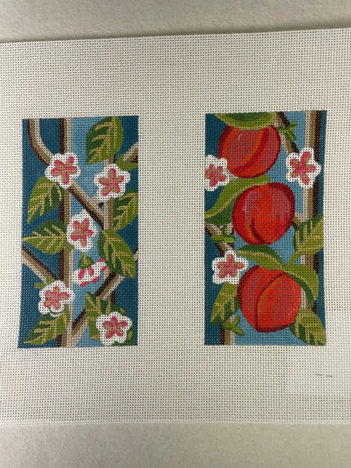 Alice Peterson 4814 Peach Eyeglass Case 1