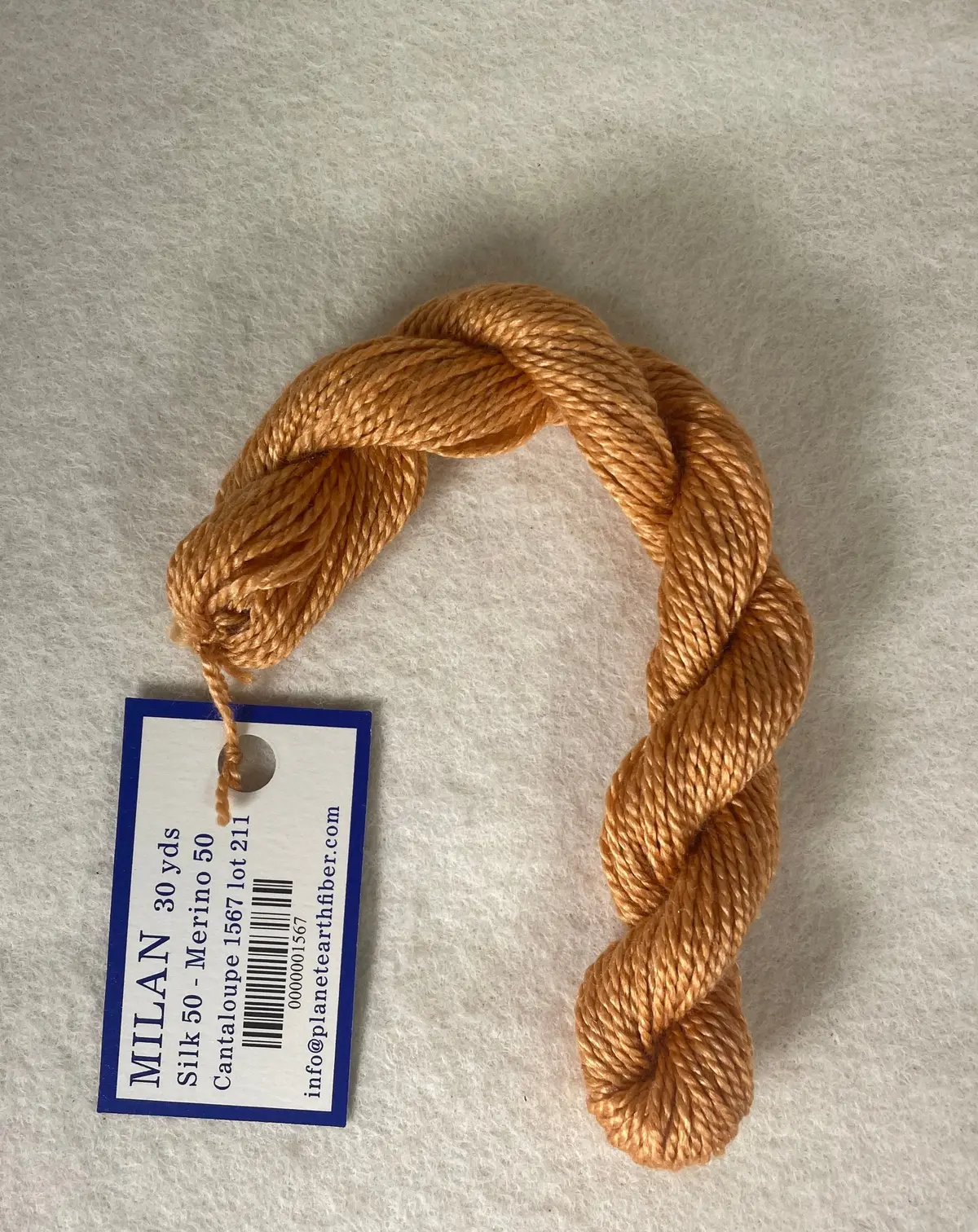 Milan 1567 Cantaloupe 1