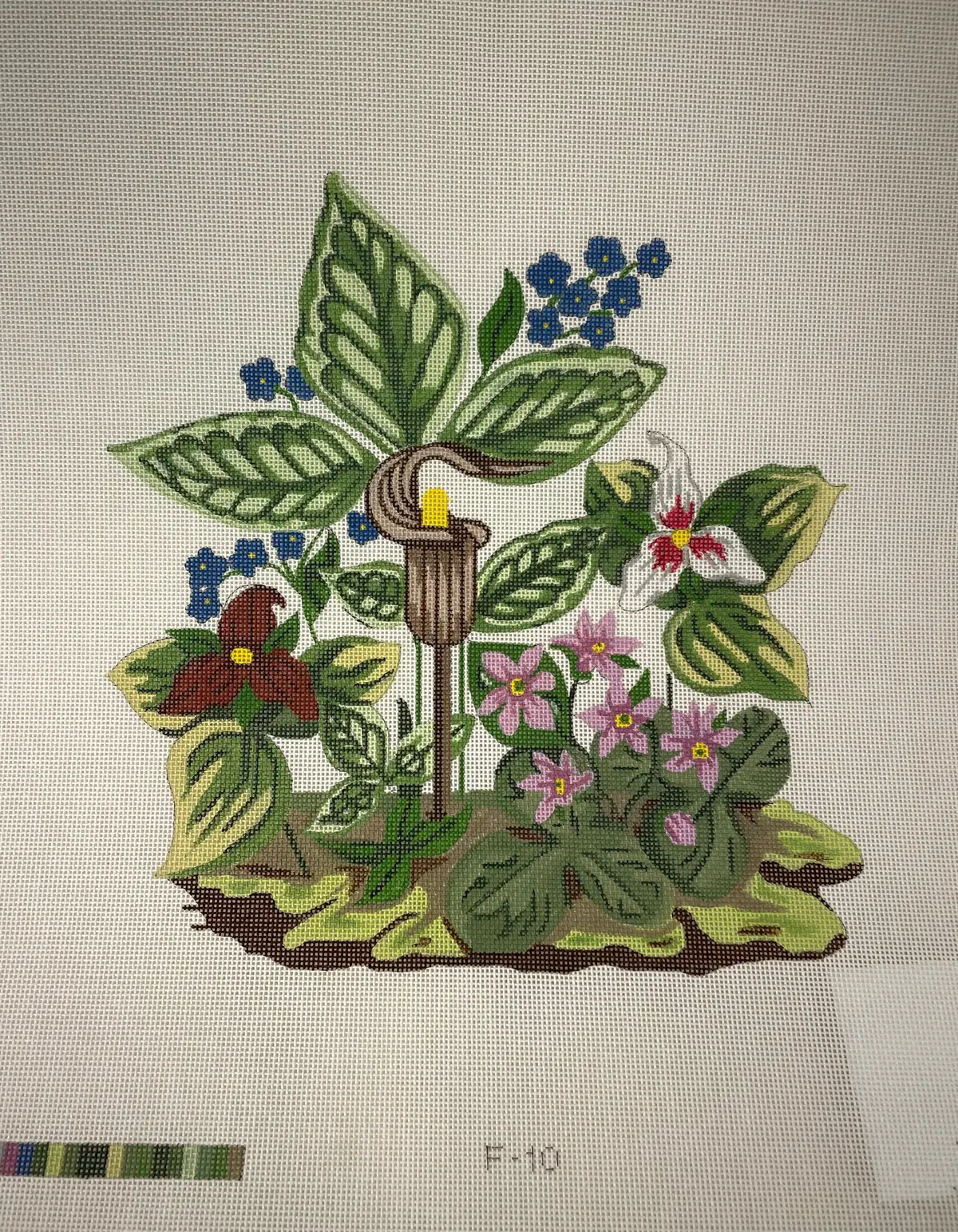 * Designs By Suzanne F10 Marsh Melody Canvas 1